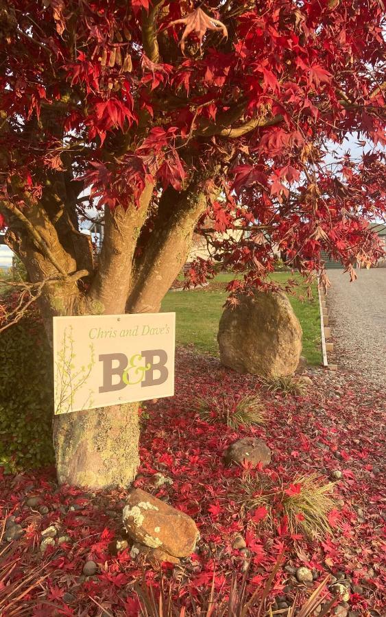 Chris And Dave'S B & B Otorohanga Kültér fotó